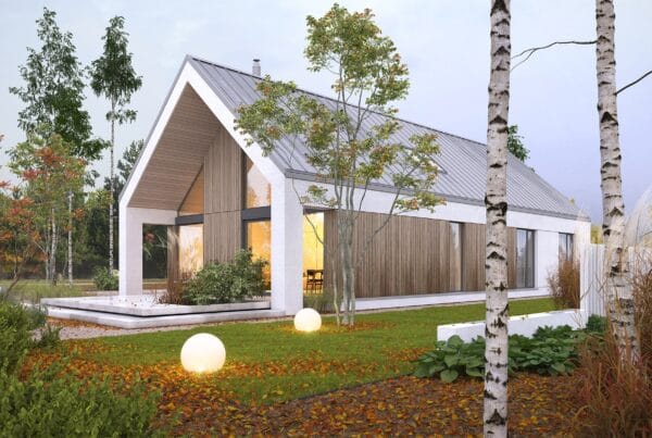 beztroski1 TYL2 1200